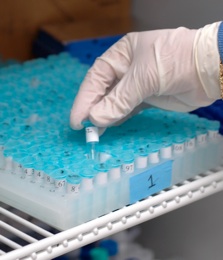 DNA samples and laboratory tech