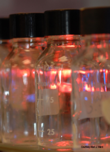 Glassware in genetic research laboratory